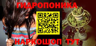 МДПВ Краснознаменск