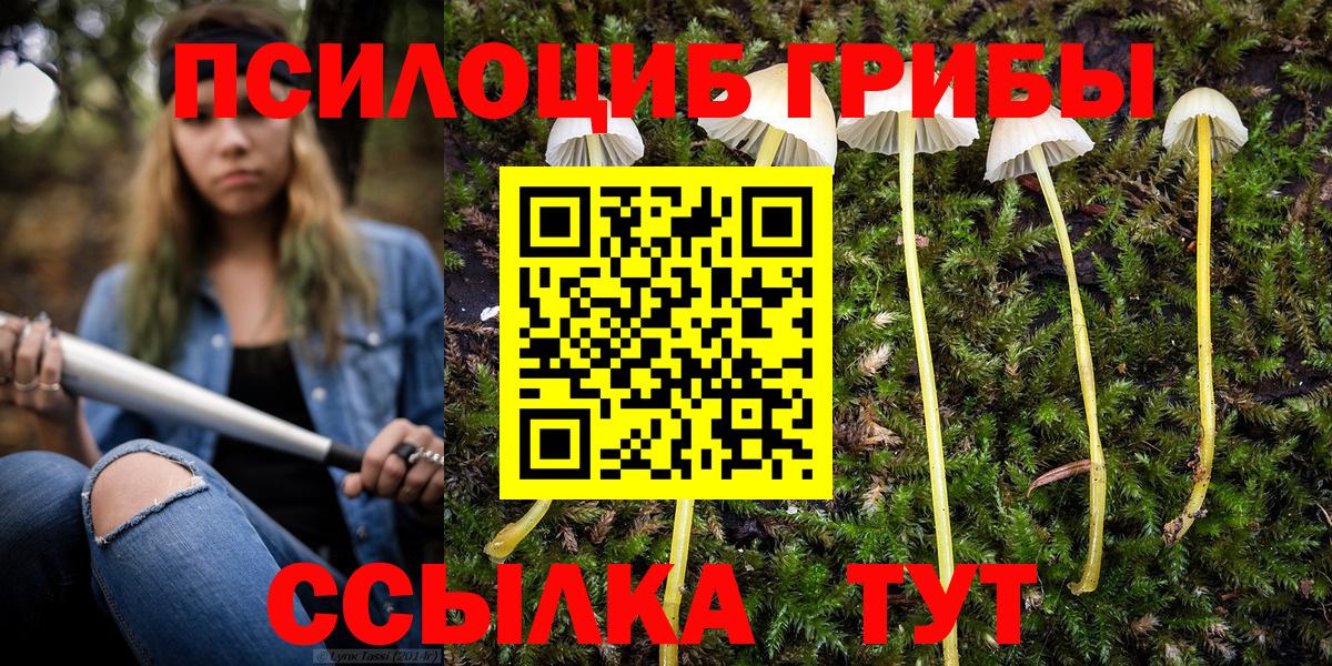Галлюциногенные грибы Psilocybine cubensis  Вход с VPN  Клинцы 